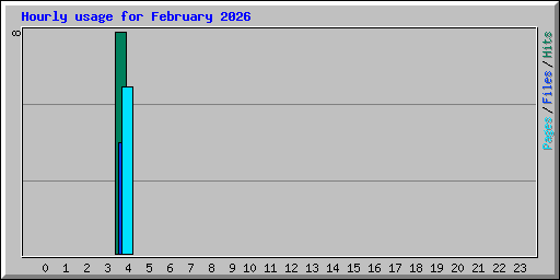 Hourly usage for February 2026